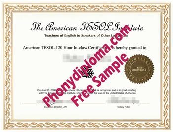 American TESOL