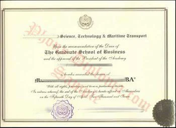 Diploma from Saudi Arabia University