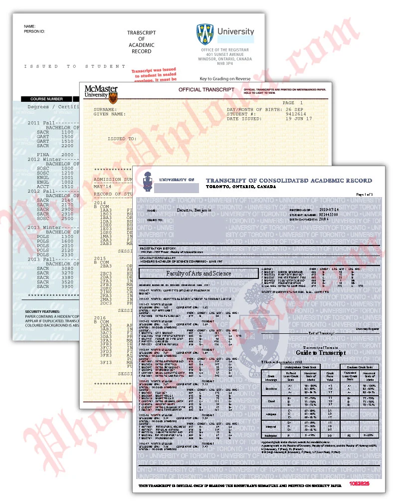 Custom Transcript From Your Scan - United Kingdom