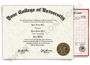 USA College or University Diploma and Transcripts - Arched Name / Right Emblem