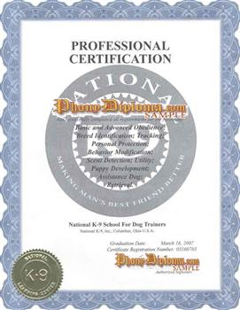 Cert Professional Certification