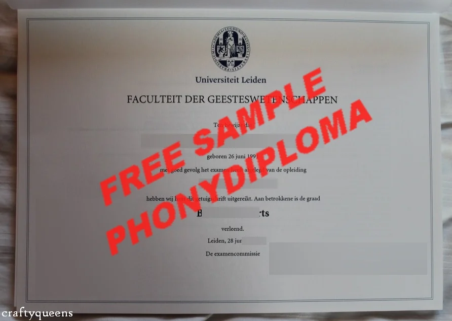 Diploma from Germany University