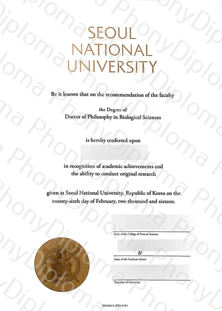 Diploma from South Korea University