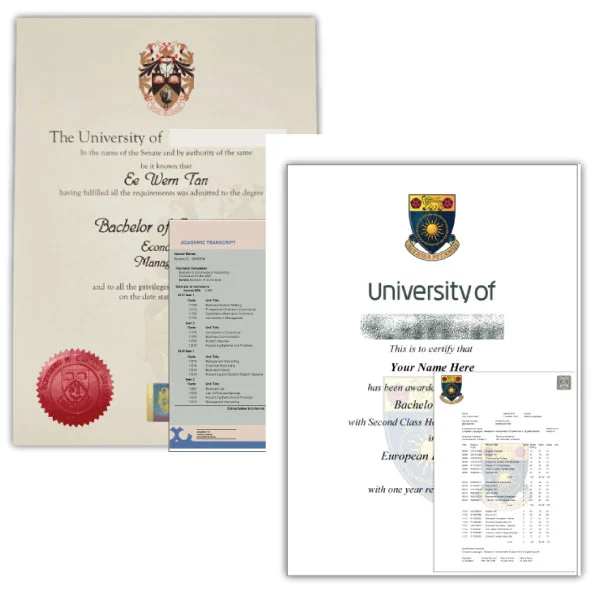 Diploma and Transcripts from your Scan