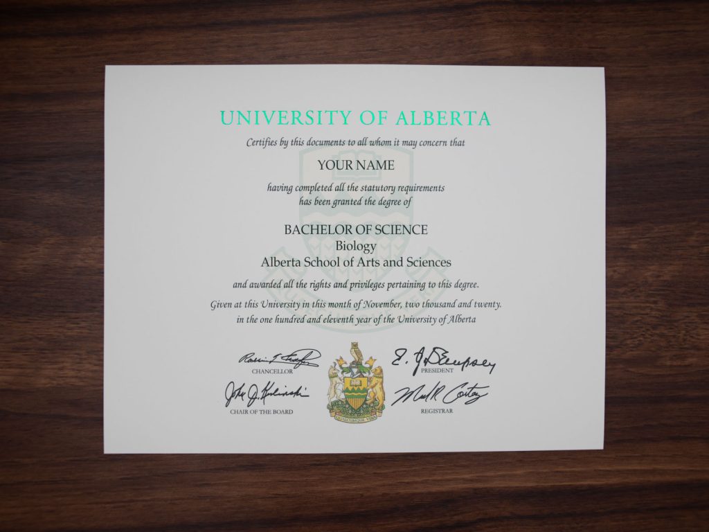 University of Alberta
