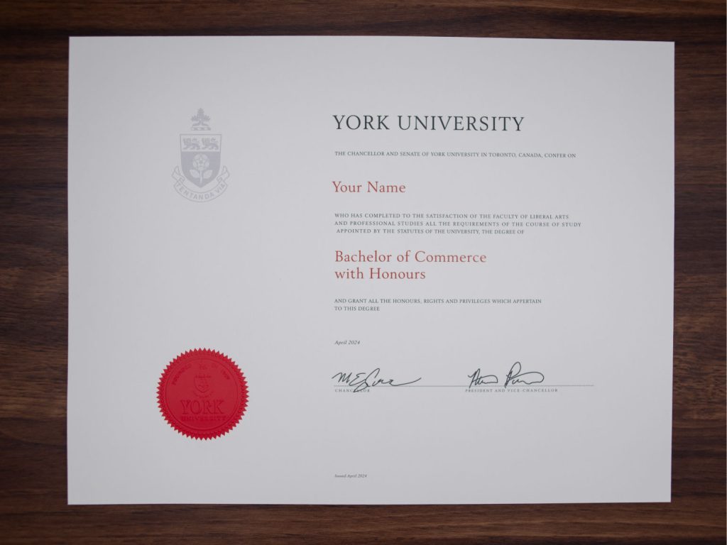 York University